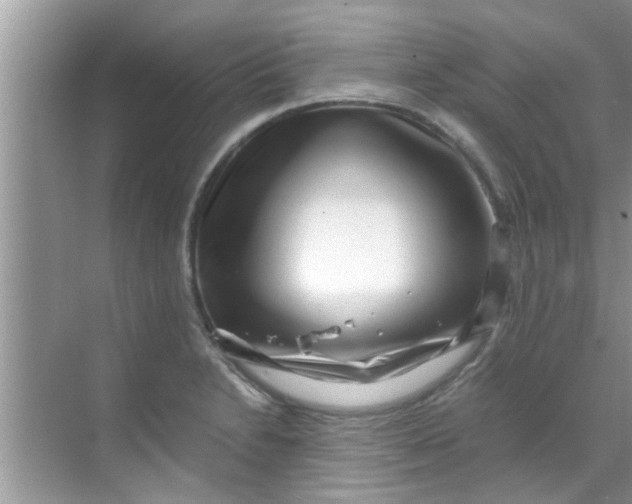 X0000069411230200605262200