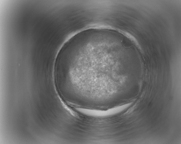 X0000069411231200605262200