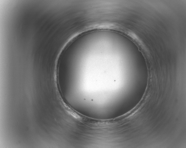 X0000069411232200605262200