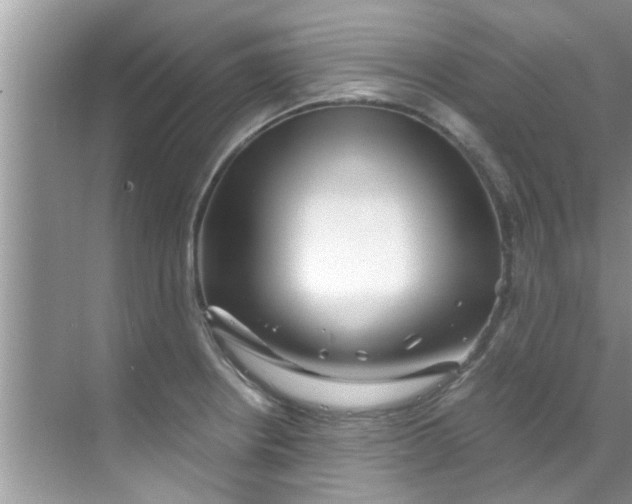 X0000069411234200605262200