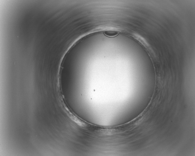 X0000069411236200605262200