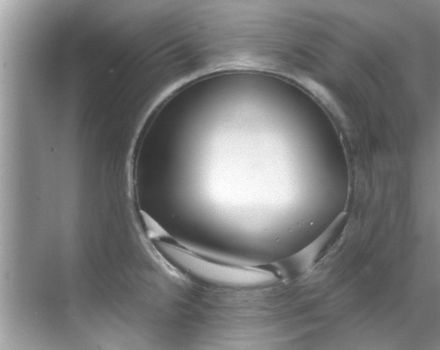 X0000069411238200605262200