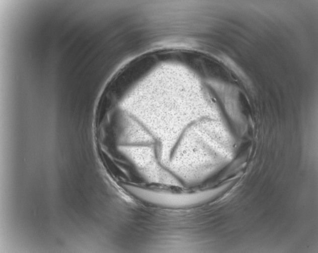 X0000069411240200605262200