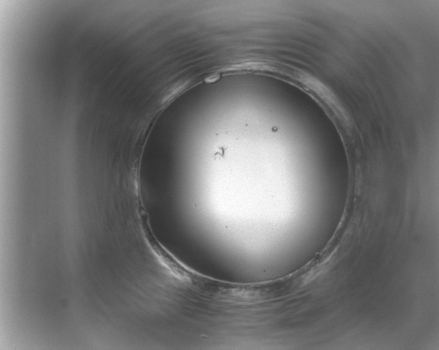 X0000069411241200605262200