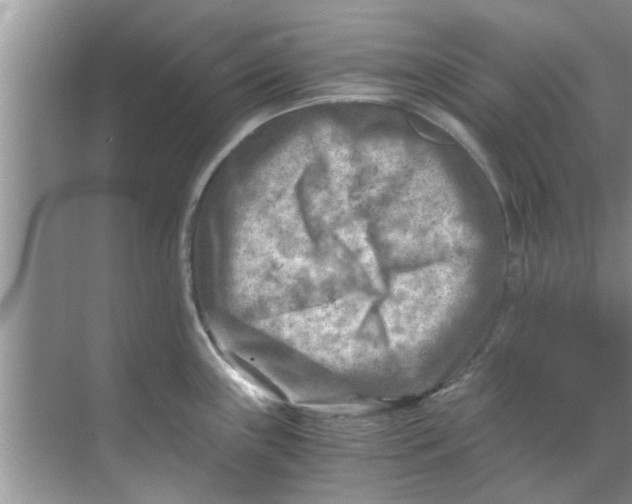 X0000069411243200605262200