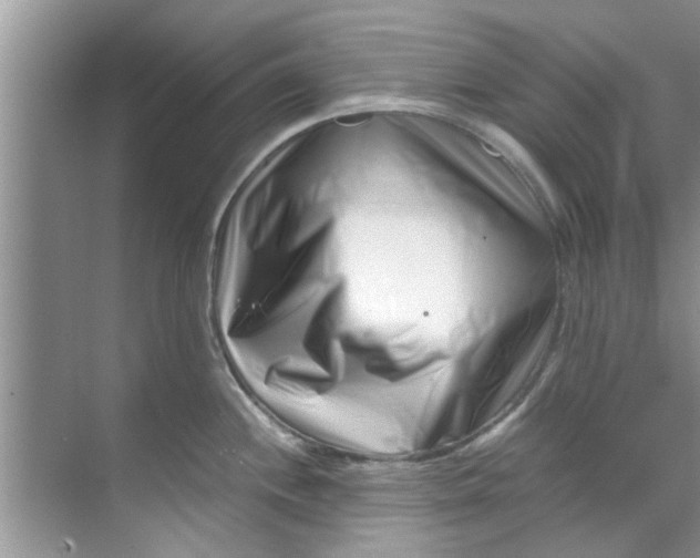 X0000069411244200605262200