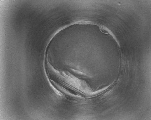 X0000069411245200605262200