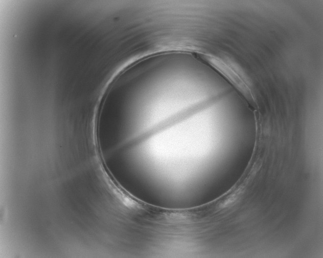 X0000069411246200605262201