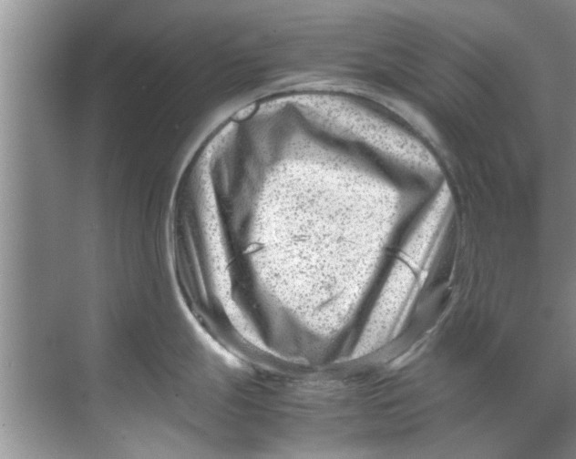 X0000069411247200605262201