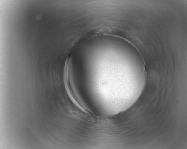 X0000069411250200605262200