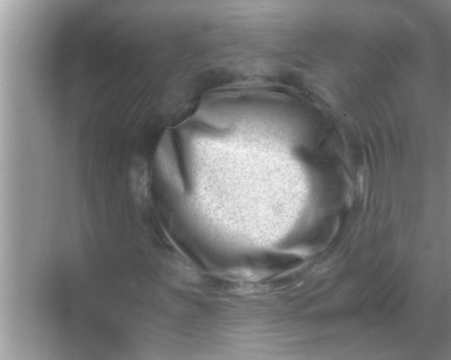 X0000069411251200605262200