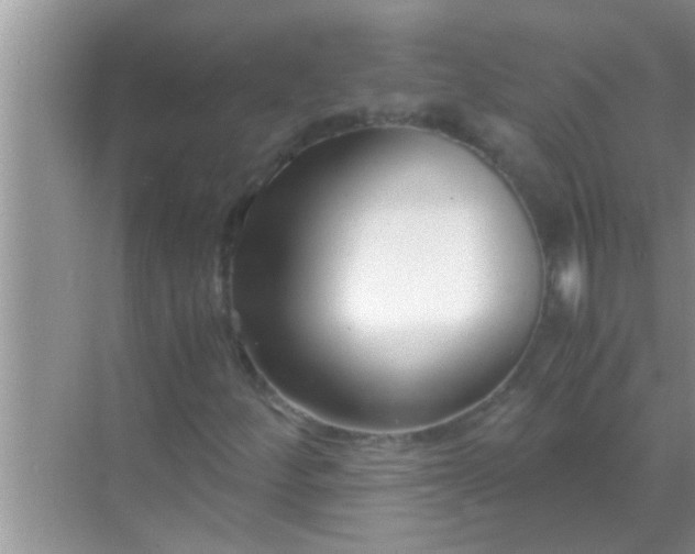 X0000069411252200605262200