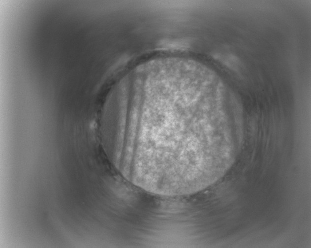 X0000069411254200605262200