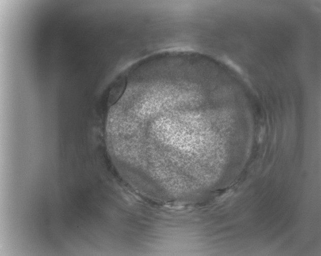 X0000069411255200605262200