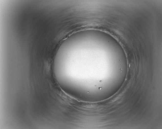 X0000069411257200605262200