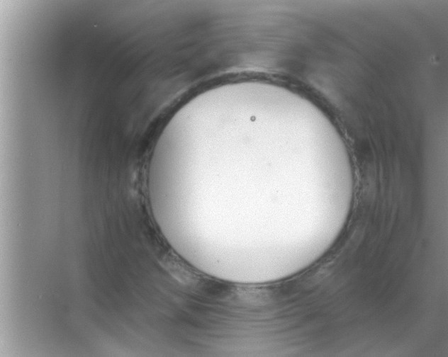 X0000069411258200605262200