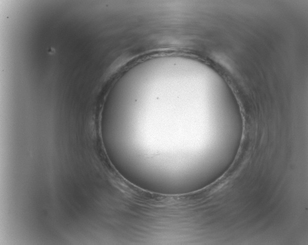 X0000069411259200605262200