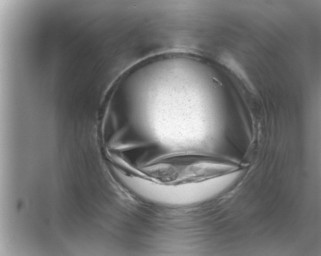 X0000069411260200605262200