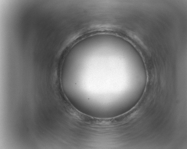 X0000069411261200605262200