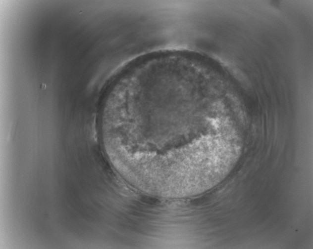 X0000069411262200605262200