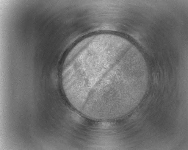 X0000069411266200605262159