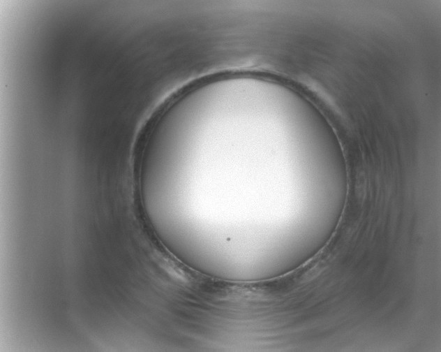 X0000069411270200605262159