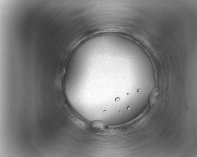 X0000069411273200605262159