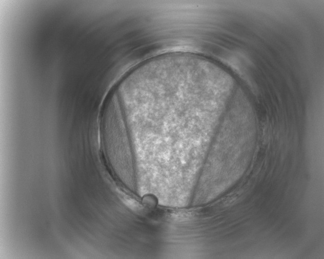 X0000069411274200605262159