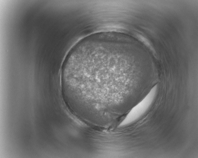 X0000069411275200605262159