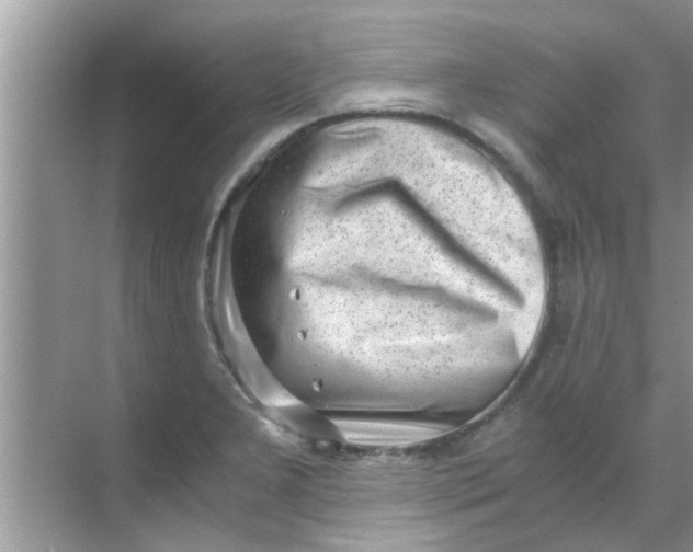 X0000069411277200605262159