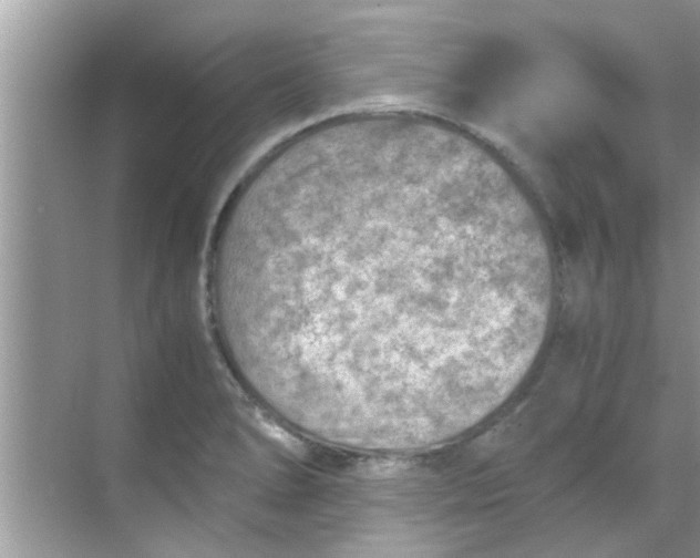 X0000069411278200605262159