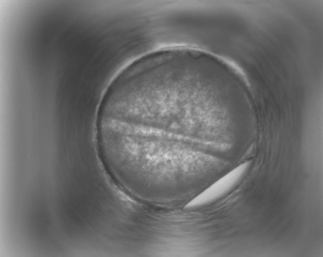 X0000069411279200605262159