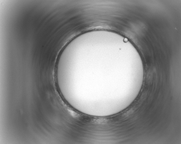 X0000069411282200605262159