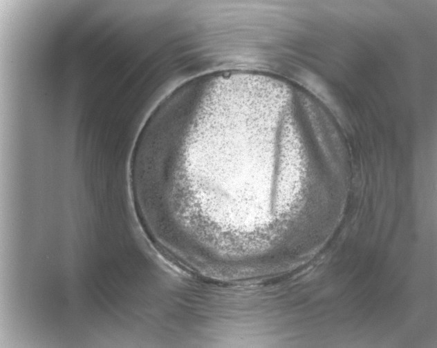 X0000069411283200605262159