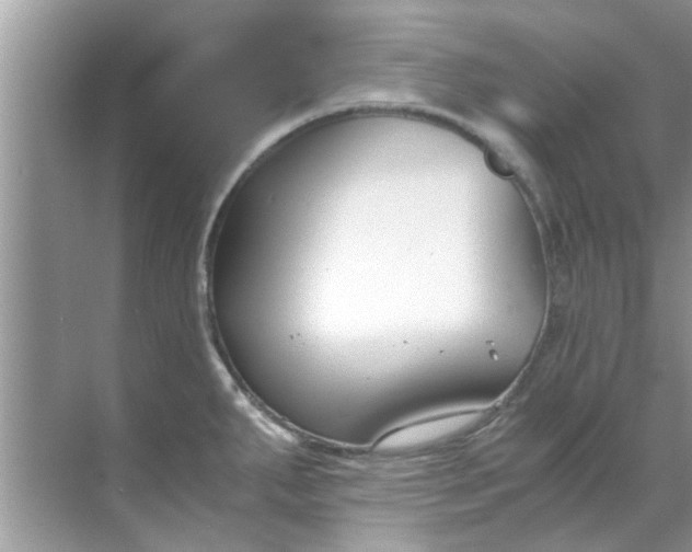 X0000069411287200605262159