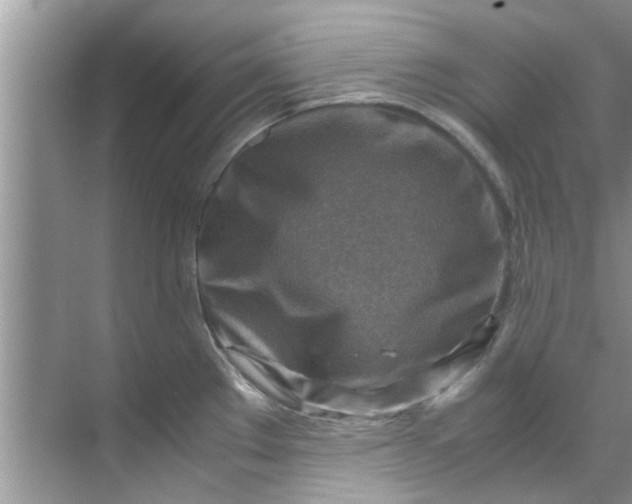 X0000069411289200605262159