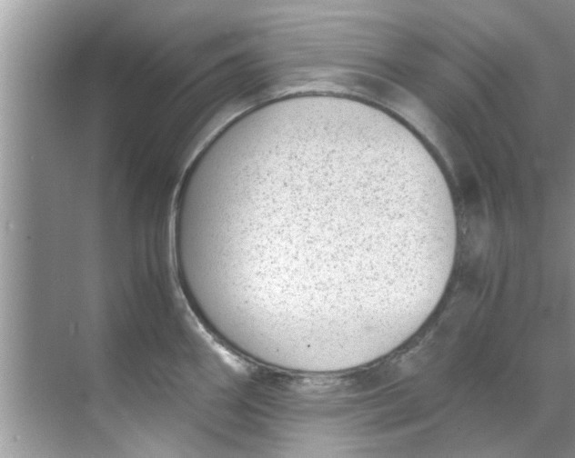 X0000069411290200605262159