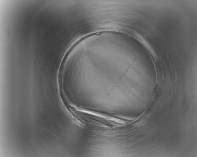 X0000069411291200605262159