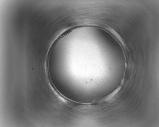 X0000069411293200605262159