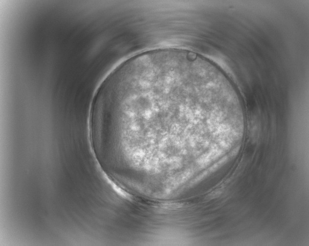 X0000069411294200605262159