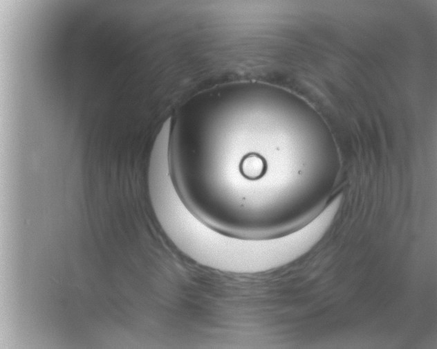 X0000069411298200605262158