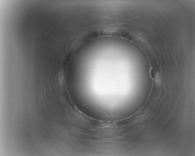 X0000069411299200605262158