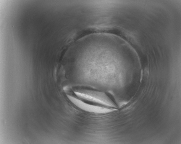 X0000069411300200605262158