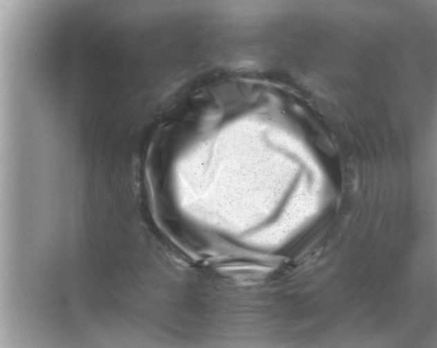 X0000069411301200605262158