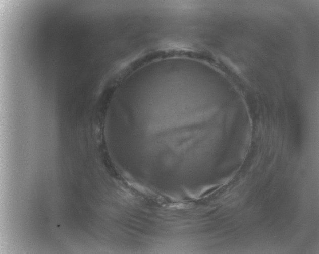 X0000069411303200605262158