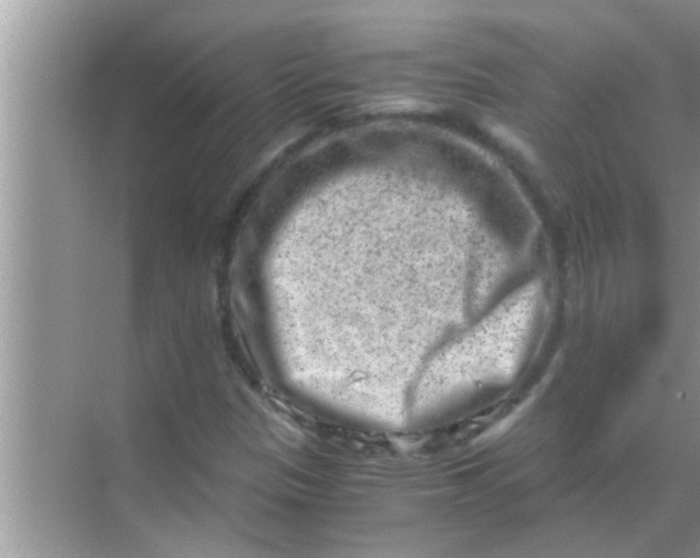 X0000069411305200605262158