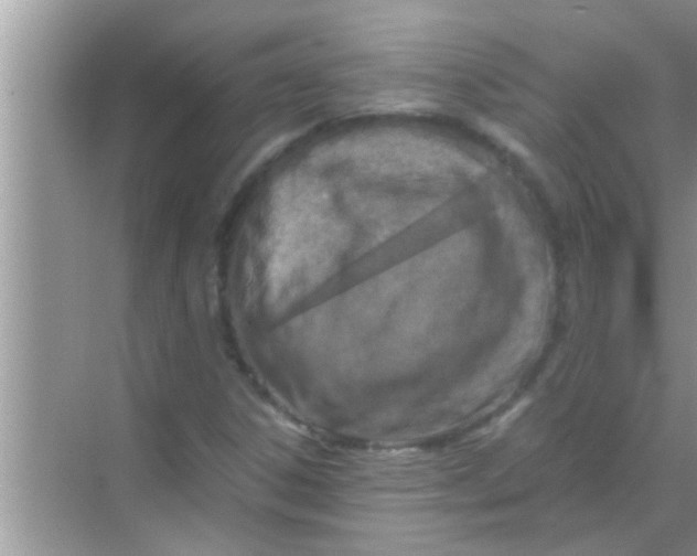 X0000069411306200605262158