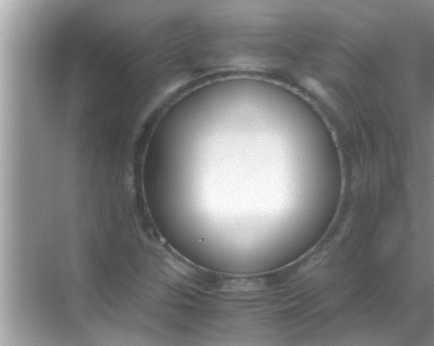 X0000069411307200605262158