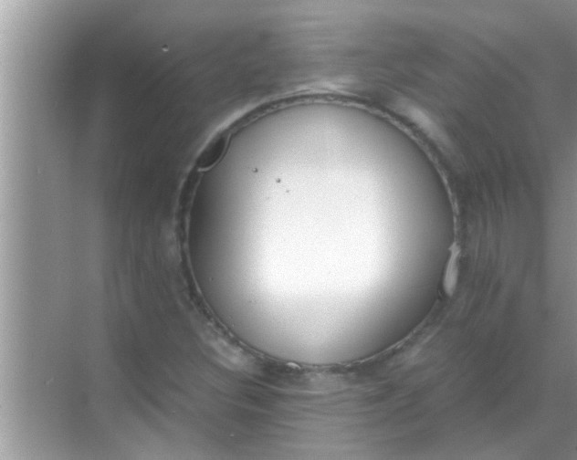 X0000069411308200605262158