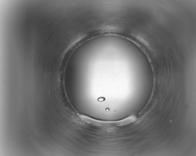 X0000069411309200605262158